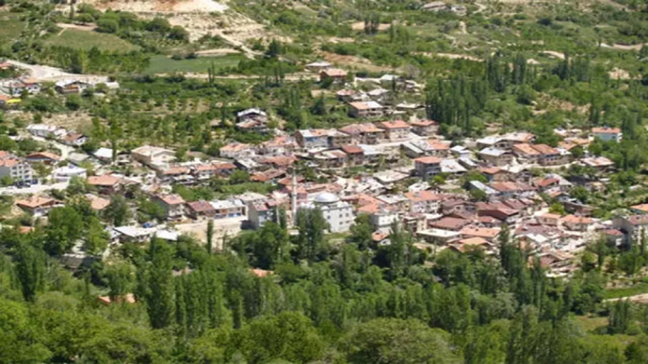 Başyayla Nakliyat 